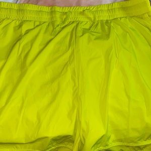 Bright yellow buff bunny under the sea collection